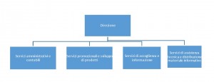 Organigramma